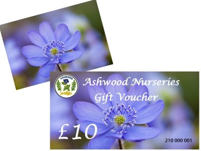 Ashwood Nurseries Gift Voucher £10