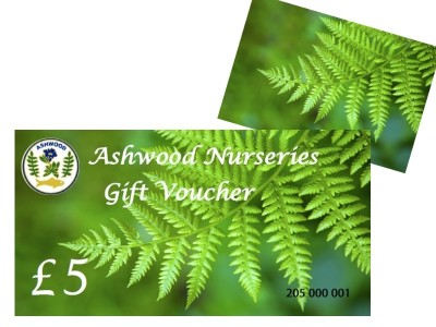 Ashwood Nurseries Gift Voucher £5 