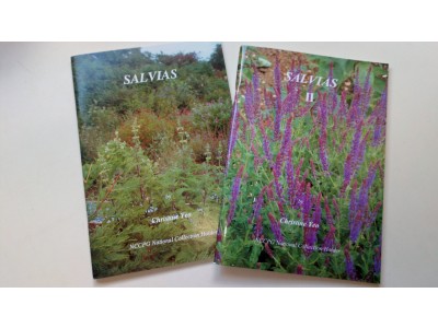 Salvias by Christine Yeo - Volumes 1 & 2