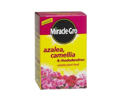 Miracle-Gro azalea, camellia and rhododendron plant food 1kg