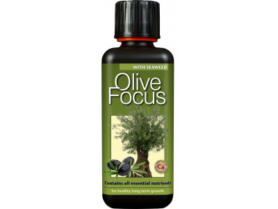Olive Focus with Seaweed