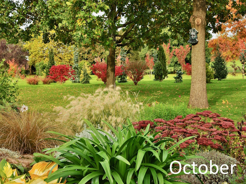 Ashwood Nurseries Calendar 2025