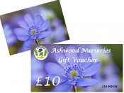 £10 Gift Voucher for Ashwood Nurseries