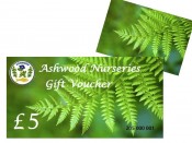 £5 Gift Voucher for Ashwood Nurseries