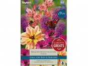 Bees and Butterflies Collection Pack of 35 bulbs