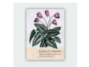 Genus Cyclamen in Science, Cultivation, Art and Culture. Edited by Brian Mathew.