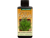Palm Focus - with Seaweed