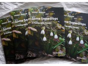 Some Snowdrops - A Photographic Ramble by Anne C. Repnow