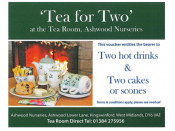 Tea for Two Gift Voucher