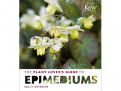 The Plant Lover's Guide to Epimediums